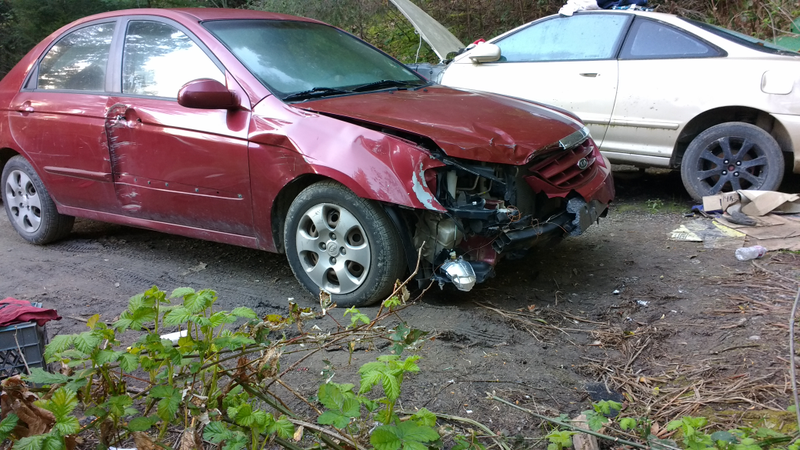 A large tree fell in front of the car while it was parked and one of the branches caught the front end.